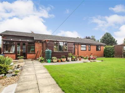 Additional Photograph